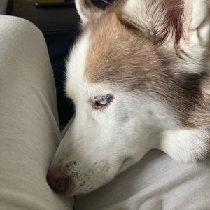 Meet your Posher, Jordan